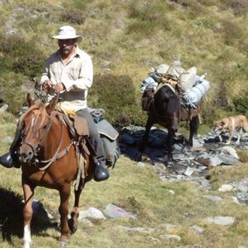 Chevaux Tramontane