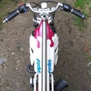 FuretFuraxTeam