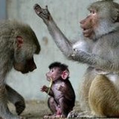 °Oo°..Lafamily66..°Oo°