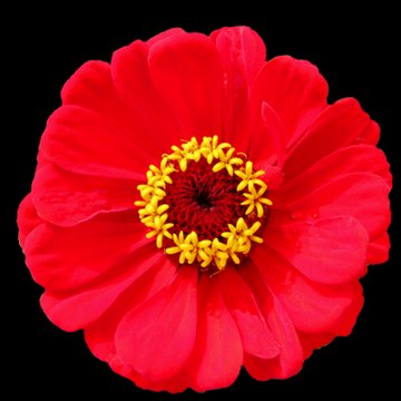 !!!!!!!Simply The BeSt!!!!!!