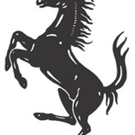 Syed Zohair A. Razvi