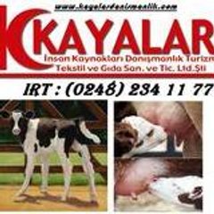 KAYALAR DANIŞMANLIK