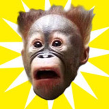 MonkeyVideos