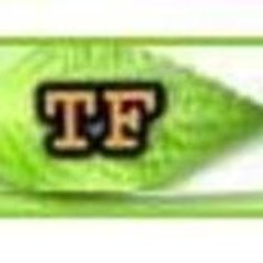 TeluguflameComedy