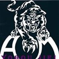 Academie Arts Martiaux Modernes