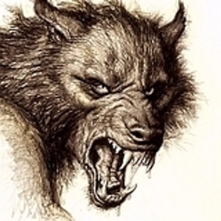 Dailymotion profile picture for @bonn