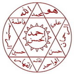 أنيس غني