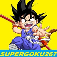IL MONDO DI SUPERGOKU