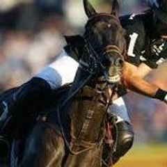 Paloaltopolo Polo Argentina