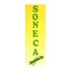 Soneca_Celtic