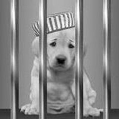 BailBondsforLancasterPA