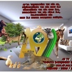 wwwseyyidmuhammedadnancom
