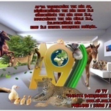 wwwseyyidmuhammedadnancom