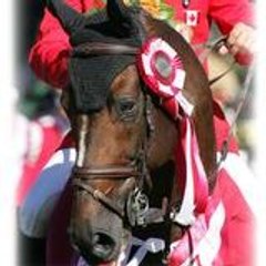 SHOWJUMPINGBET