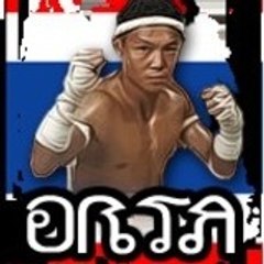 samkor51