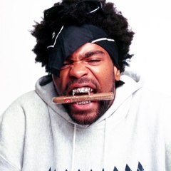 KSA 420