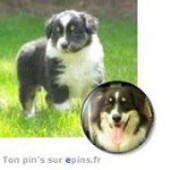 Ghislaine Chantelauze