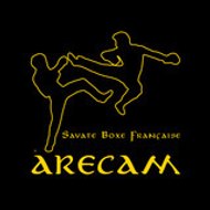 ARECAM-SBF