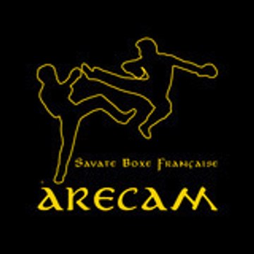 ARECAM-SBF