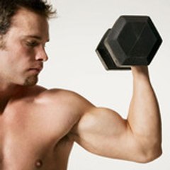 muscle building