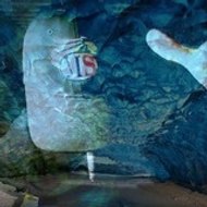 Adelancien Mafioffishal-Style Aka Scuadra-Style TV