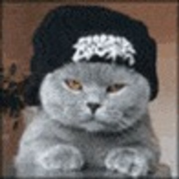 Осторожно! Болгария!