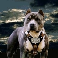 Yassine Zaid Yassine