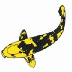 aquajoy1