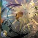 noitomylaid