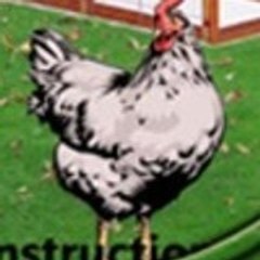 buildchickencoop