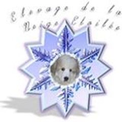 La Neige Étoilée Elevage