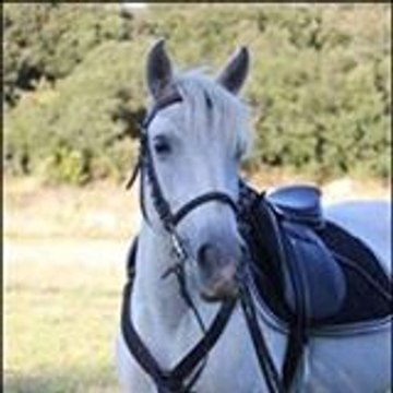 Profil DailyMotion de l&rsquo;utilisateur Belle des Ch&ecirc;nes