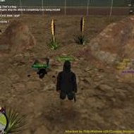 Majde Eddine Yahyaoui