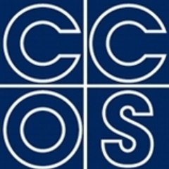 Ccos Torino