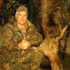 buckenrut