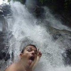 djor81