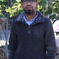 Nihad Sabri