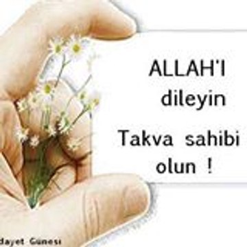 Hanif Dini