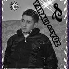 araz sesliyandex