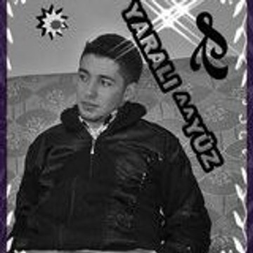 araz sesliyandex