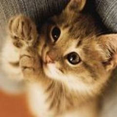 -MissLove-