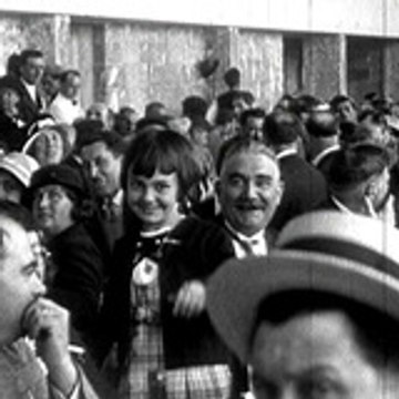 chamaerops-productions