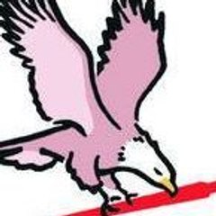 Ανεξάρτητος Σερρών