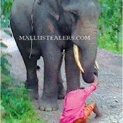 Mallustealers(.)com Ko