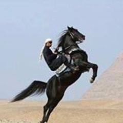 Umut AY