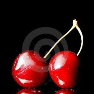 Cherry84Addict