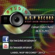 nsprecord