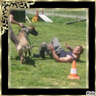 wwwalecouteduchiencom