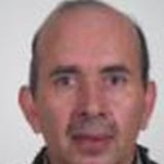 Luis Fernando Erique