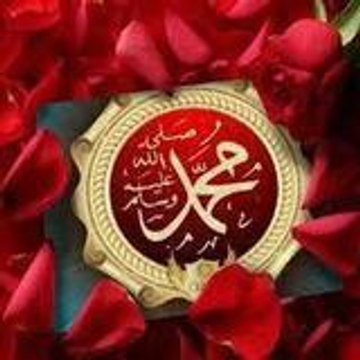 Telifulkulub.Com Kalplerin Uzlaştığı Yer...